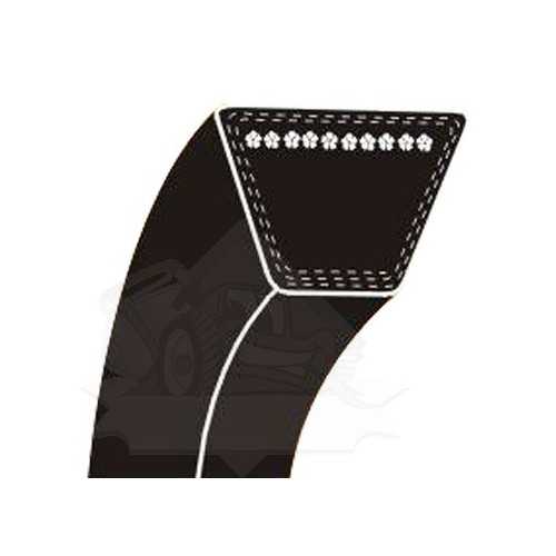 V-belt CASTEL GARDEN 35061501/0, 35061502/0