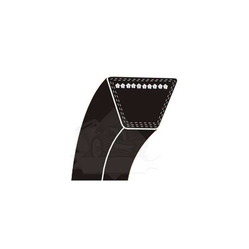 V-belt CASTEL GARDEN 35062011/0, 35062010/0