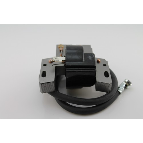 Elektronische spoel BRIGGS & STRATTON 492341, 495859