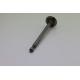 Intake valve 261233