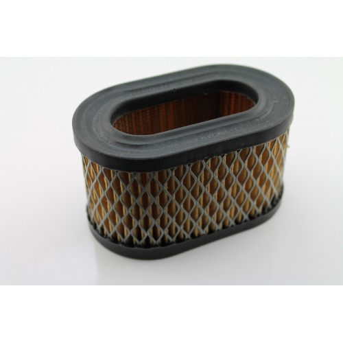 Luftfilter BRIGGS & STRATTON 494586, 497725