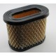 Airfilter BRIGGS & STRATTON 498596, 690610