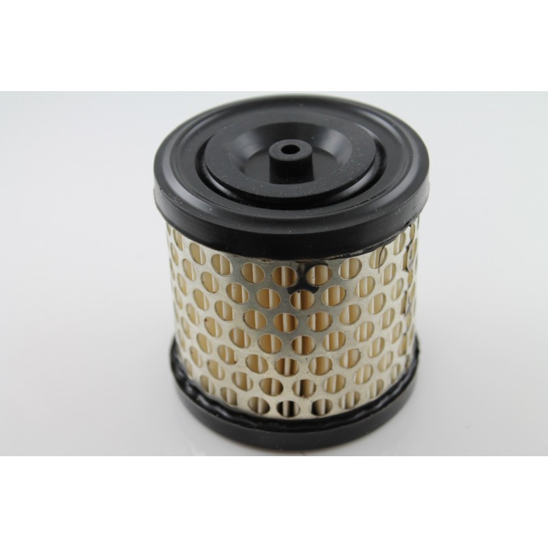 Luchtfilter BRIGGS & STRATTON 396424