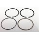 Segments Briggs & Stratton 795431