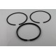 Piston rings Briggs & Stratton 495854