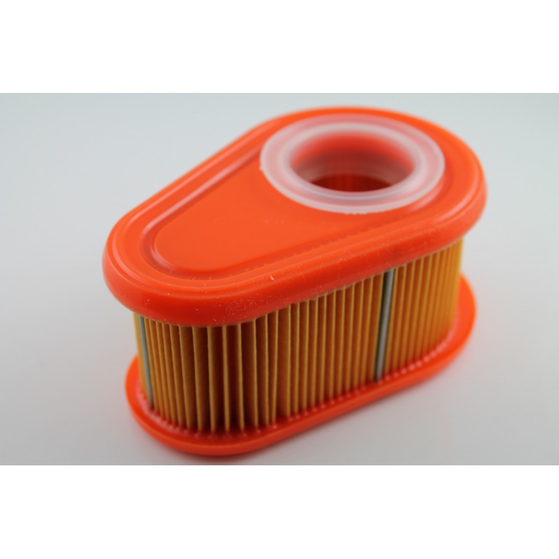 Airfilter BRIGGS & STRATTON 790388, 792038