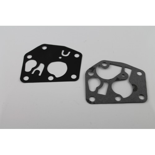 Membrane + joint Briggs & Stratton 495770