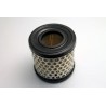 Luchtfilter BRIGGS & STRATTON 392308