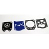 Membrane kit WALBRO D10-WTA