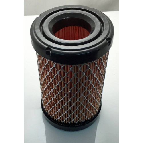 Filtre a air Briggs & Stratton 594201