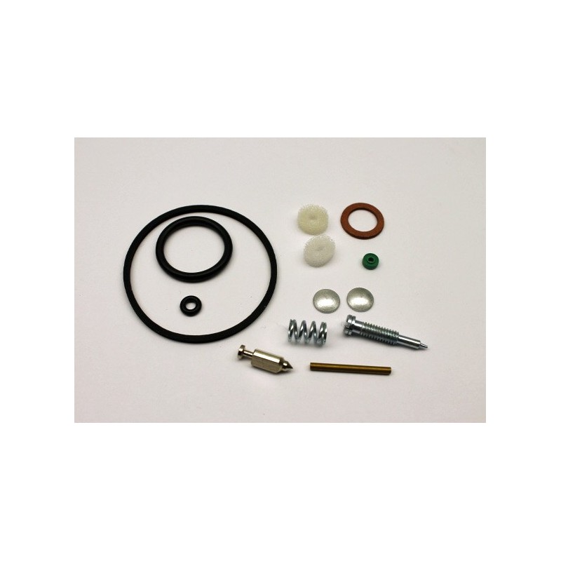 Kit de réparation carburateur Briggs & Stratton 494349, 492072, 398158