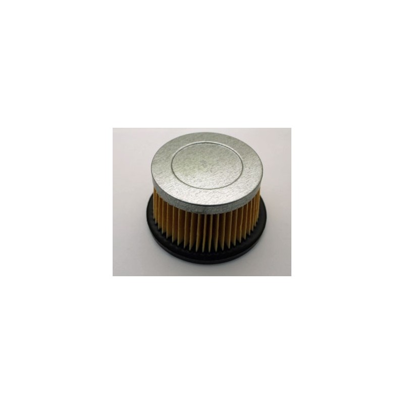 Airfilter TECUMSEH 31700, 30727