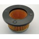 Airfilter TECUMSEH 31700, 30727