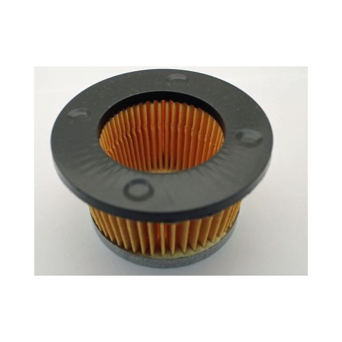 Airfilter TECUMSEH 31700, 30727