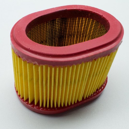 Airfilter BRIGGS & STRATTON 790166