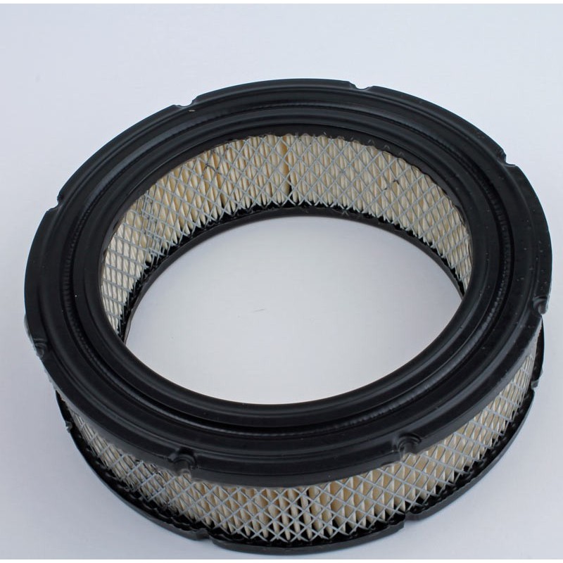 Luchtfilter BRIGGS & STRATTON 4232, 692519, 652519, 806232