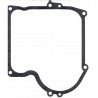 Gasket base BRIGGS & STRATTON 270808, 251700, 252700