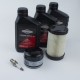 Briggs & Stratton Onderhoudsset Model 31 - Series 4 INTEK I/C OHV 31R7, 31R8, 319