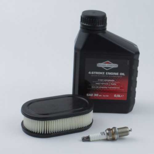 Service set Briggs and Stratton for 550E, 575EX, 550EX Eco-Plus serie (luchtfilterpatroon)