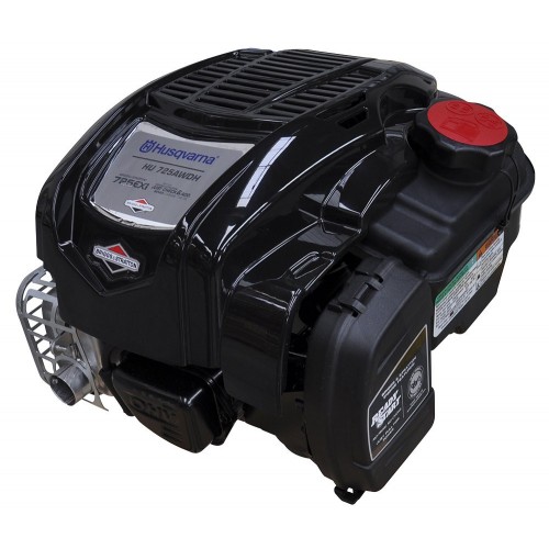 Engine Briggs and Stratton 725 EXI SERIES 163 CC OHV