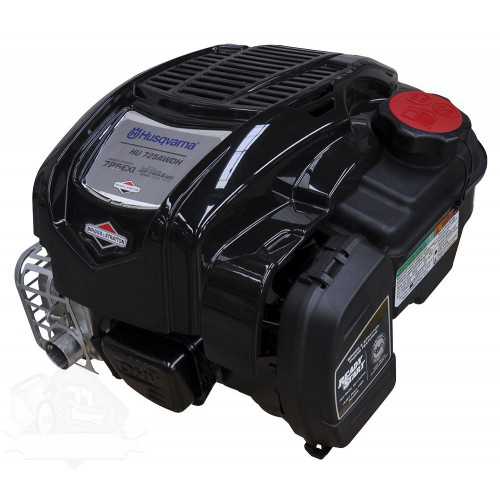 Motor Briggs and Stratton 725 EXI SERIES 163 CC OHV