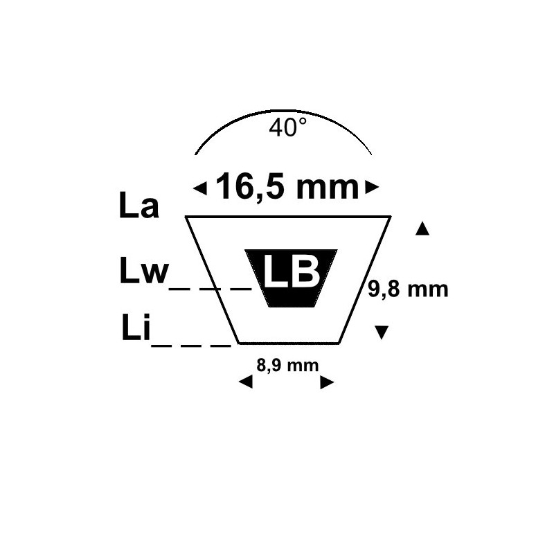 Courroie OLB104