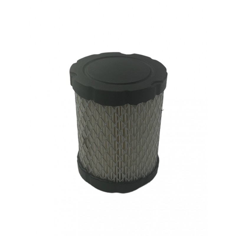 Airfilter Briggs & Stratton 591583