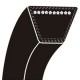 V-belt DYNAMARK 302289