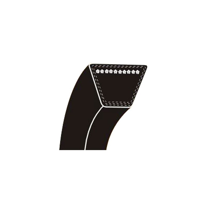 V-belt DYNAMARK 302289