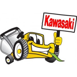 Für Kawasaki