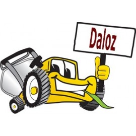 Daloz