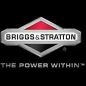 Parts for Briggs and Stratton